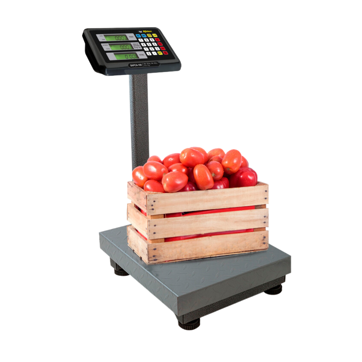 Báscula de Plataforma Capacidad 100 kg x 10 g